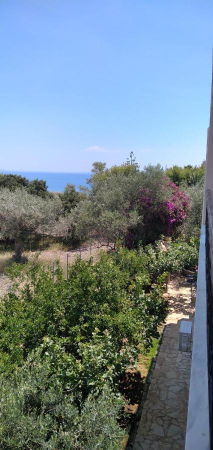 Geranium Villa By The Sea Κινέτα Εξωτερικό φωτογραφία