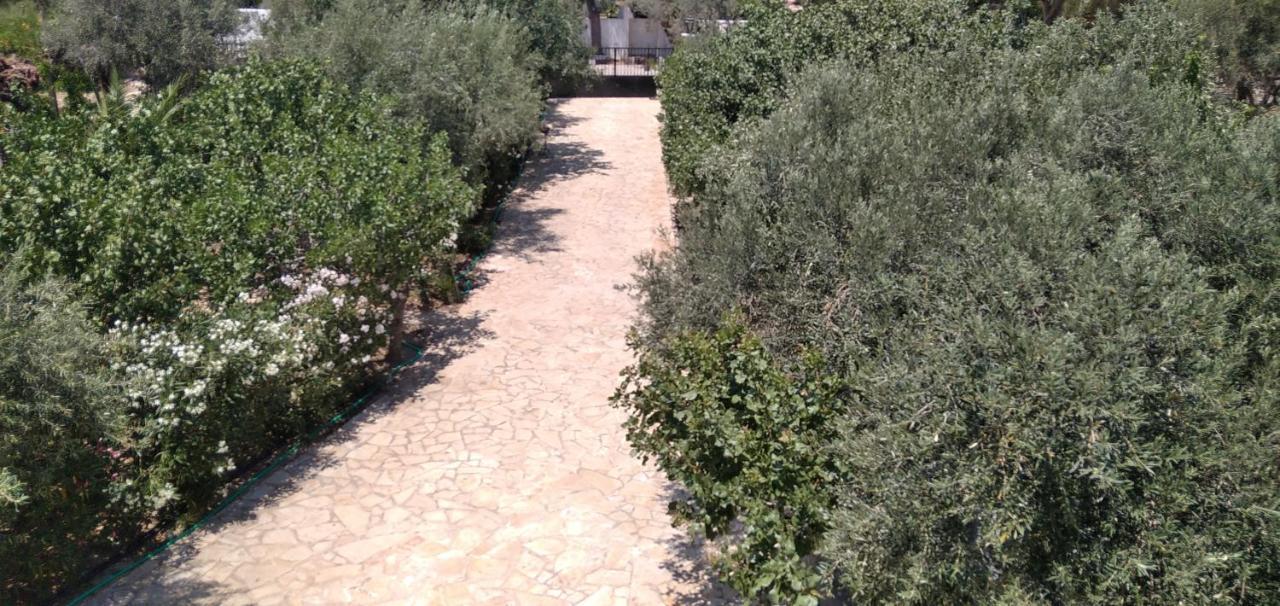 Geranium Villa By The Sea Κινέτα Εξωτερικό φωτογραφία