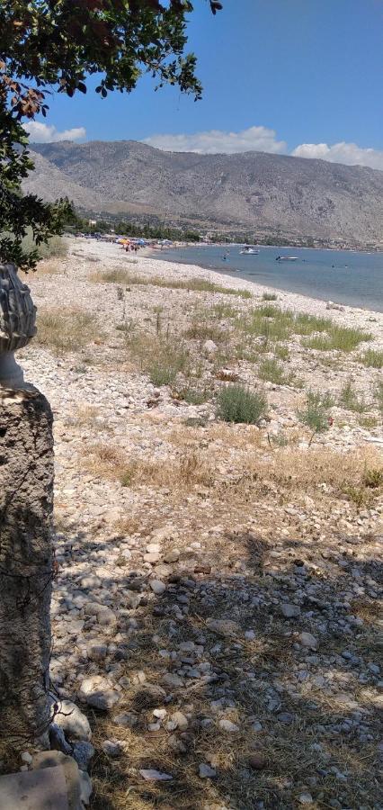 Geranium Villa By The Sea Κινέτα Εξωτερικό φωτογραφία