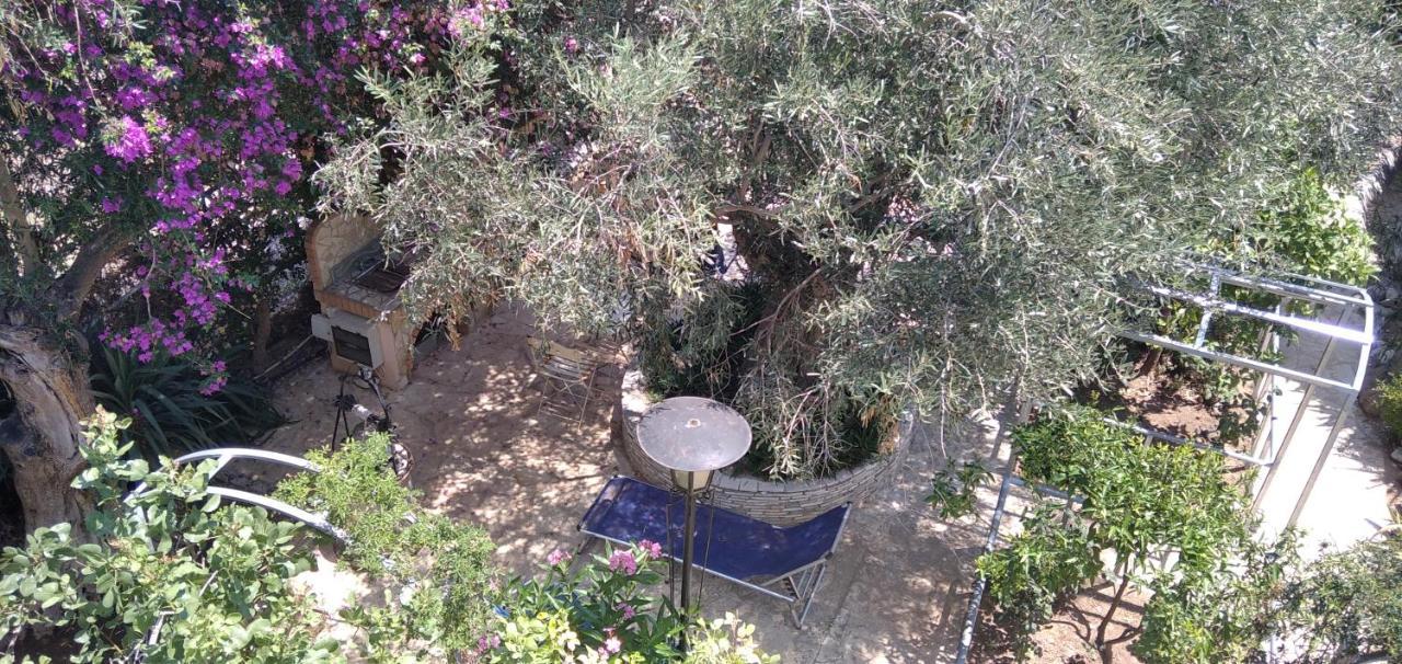 Geranium Villa By The Sea Κινέτα Εξωτερικό φωτογραφία